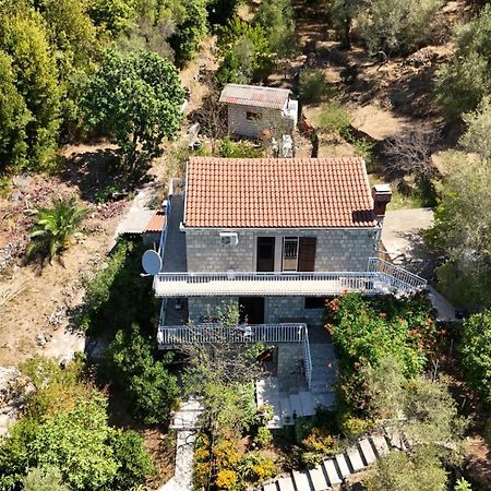 Apartment Kod Jadranke Šipanska Luka Dış mekan fotoğraf