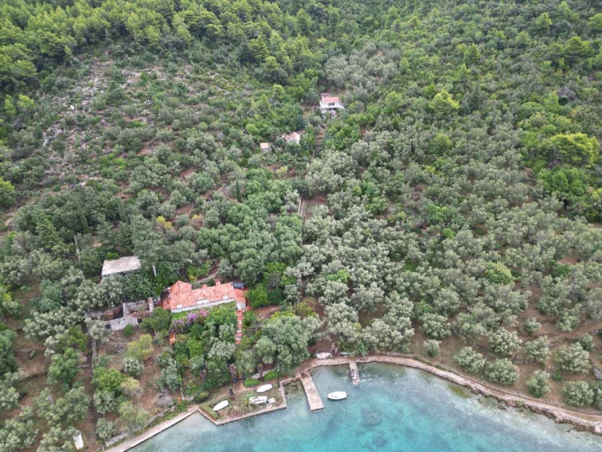 Apartment Kod Jadranke Šipanska Luka Dış mekan fotoğraf