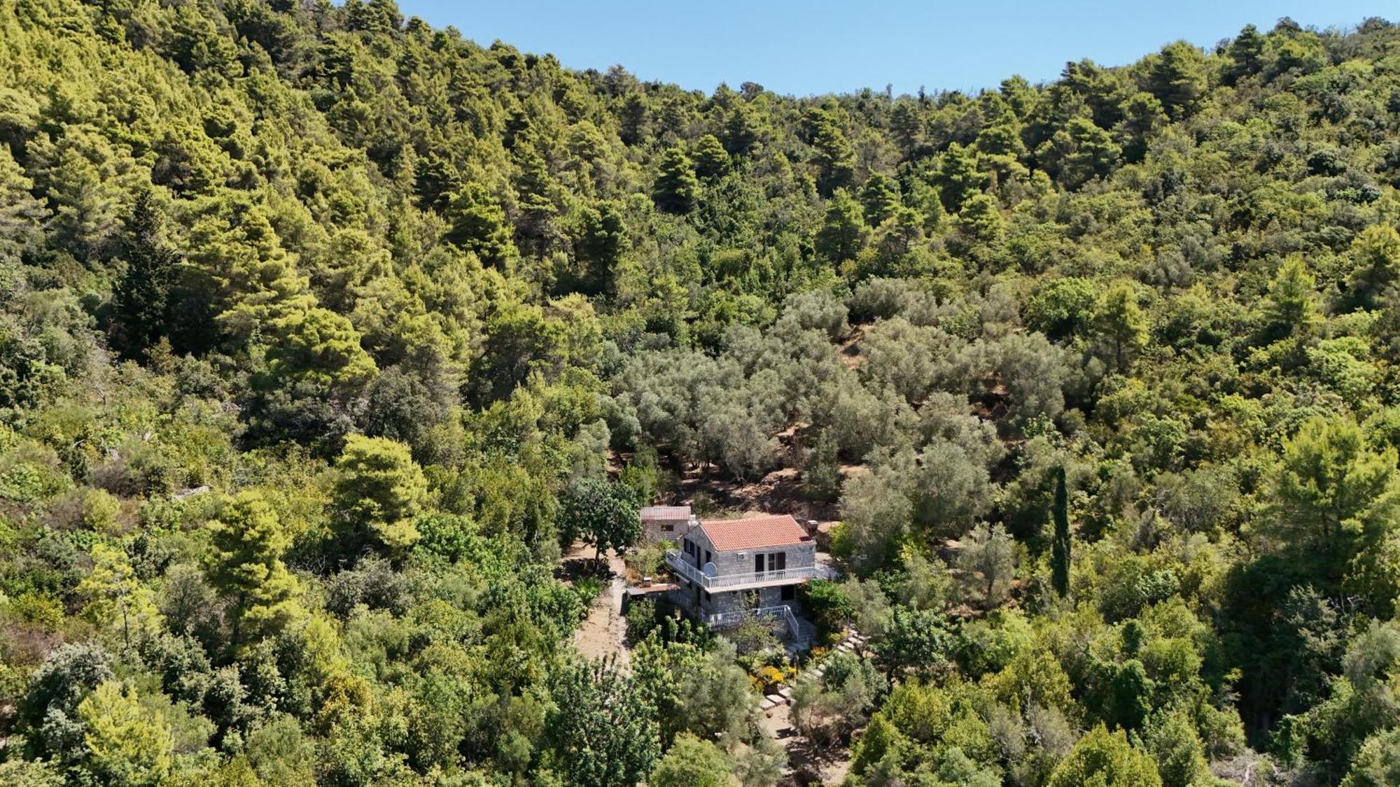 Apartment Kod Jadranke Šipanska Luka Dış mekan fotoğraf