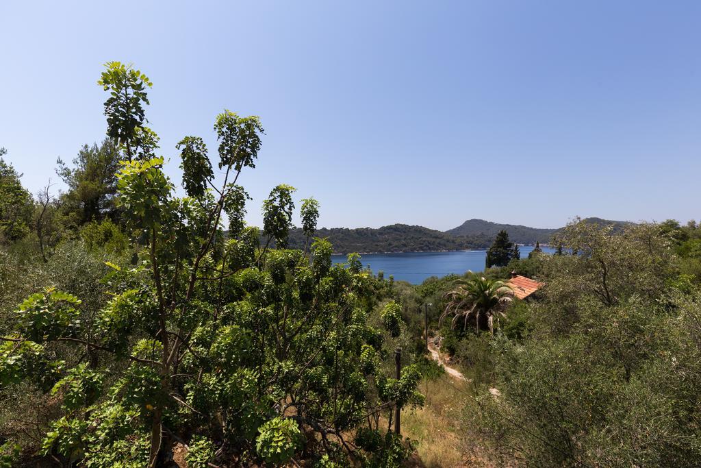 Apartment Kod Jadranke Šipanska Luka Dış mekan fotoğraf